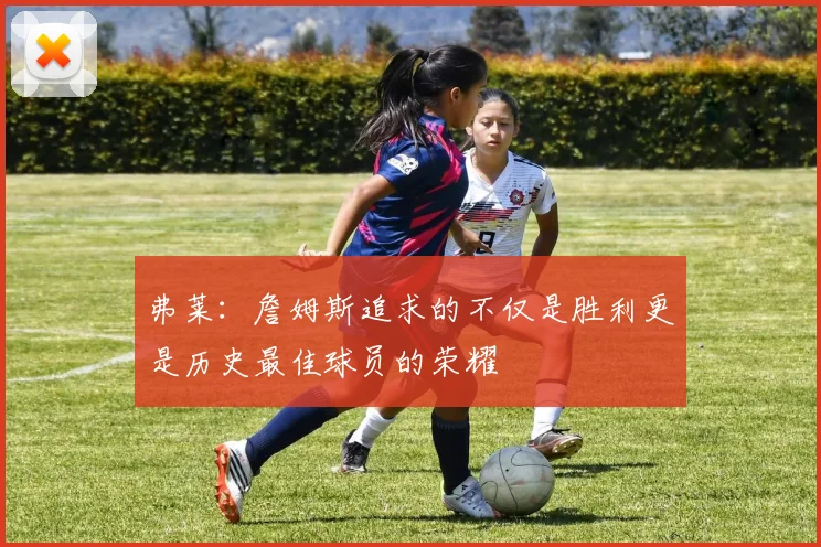 弗莱：詹姆斯追求的不仅是胜利更是历史最佳球员的荣耀